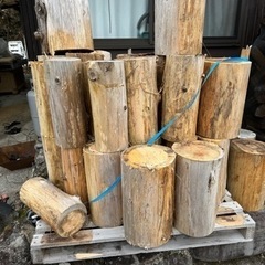 杉の丸太　1個500円　5〜10kgの画像