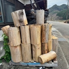 杉の丸太　1個500円　5〜10kgの画像