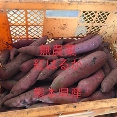 無農薬　さつまいも　5kg