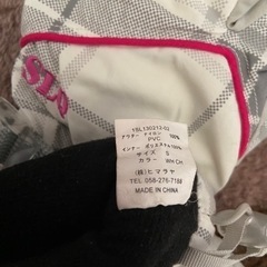 スキーグローブ の画像