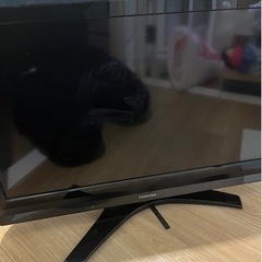 TOSHIBA 液晶32インチ