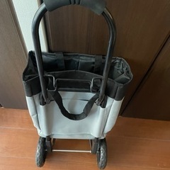 保冷バッグ　キャスター付きの画像