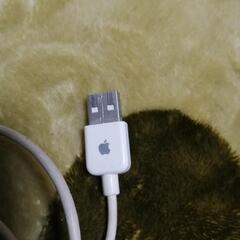 【値引き交渉大歓迎🎉🤗】iPod専用ケーブルの画像