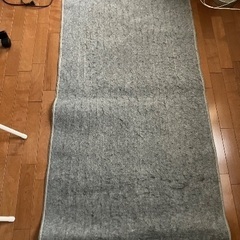 アイリスオーヤマのホットカーペット