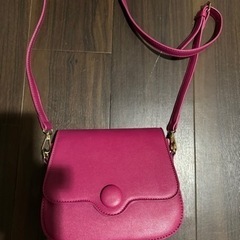 キレイ色ショルダーバッグ♪