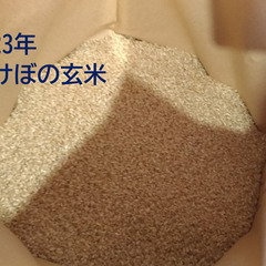 ★完了★【新米：２０２３年収穫】アケボノ１等玄米（３０ｋｇ１袋＝...
