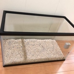 【決まりました】GEX 水槽◆60cmの画像