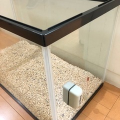 【決まりました】GEX 水槽◆60cmの画像