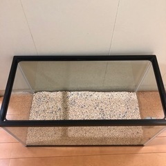 【決まりました】GEX 水槽◆60cmの画像