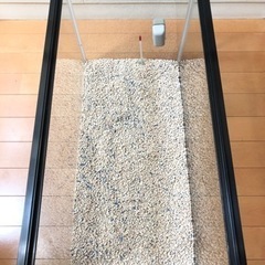 【決まりました】GEX 水槽◆60cmの画像