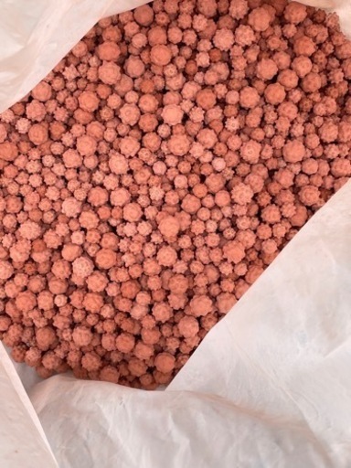 ろ材　バクテリア　スーパーゼオセラ