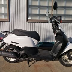 HONDA TODAY インジェクションモデルの画像