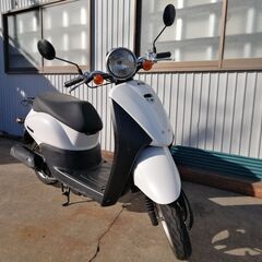 HONDA TODAY インジェクションモデルの画像
