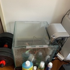 水槽セット！！の画像