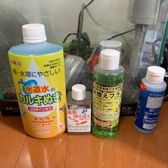 水槽セット！！の画像