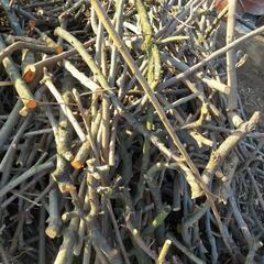 薪（軽トラ1台分）★値下げしました！の画像