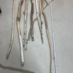 まとめ売り　流木　長め