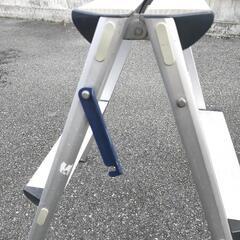 最終★脚立★掃除や車の洗車にも♪の画像