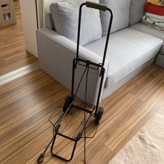 (ご予約中)＊キャリー