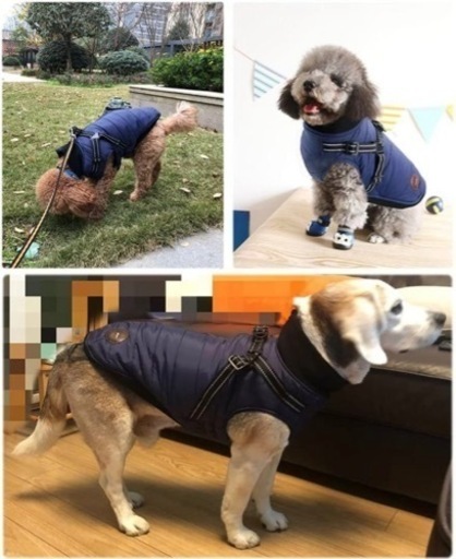 大幅値下げ‼️ASMPET 犬 服 防寒 ジャケット ハーネス付きブルー XL 秋冬 防寒 コート 人気 犬 ジャケット 中型犬 防寒着 犬 コート 秋冬服 ハーネス付き 犬 ベスト 綿服コート 防雪 暖かい 犬 服 防水 着脱簡単 (着丈: 43.5cm)