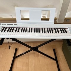 【終了】YAMAHA  piaggero（ピアジェーロ）　NP-...