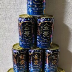 サントリー 金麦 10本セット ビール