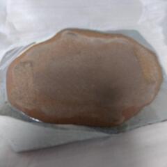 ❗最終セール❗20000円骨董品　お皿の画像