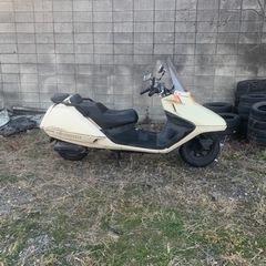 ホンダフュージョン250の画像