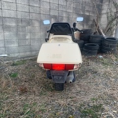 ホンダフュージョン250の画像