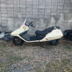 ホンダフュージョン250の画像