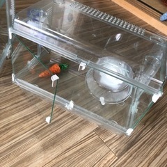 ハムスター　小動物　ペット　ケージ　まとめ売りの画像