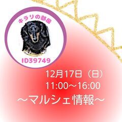 【🐾12月17日（日）🐾】ペットの気持ちミニミニセッション会～京...