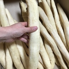 干し大根　5kgの画像