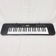 早い者勝ち❗️CASIO 電子キーボード49鍵盤【美品】