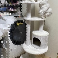 キャットタワー　スリムタイプ
