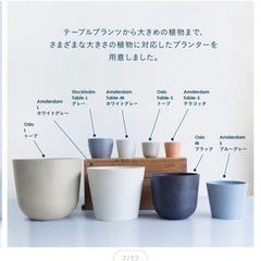 観葉植物　鉢の画像