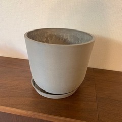 観葉植物　鉢の画像