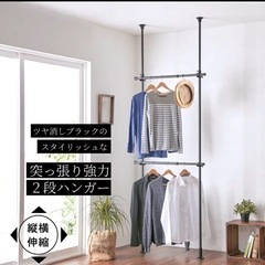 ✨️【工具不要‼️】突ぱり強力2段ハンガー 黒 つっぱり 突っ張...