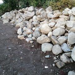 庭石　石　無料で差し上げますの画像
