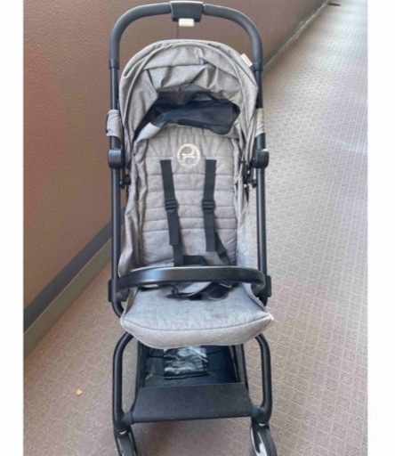 サイベックス　イージーs   マンハッタングレー