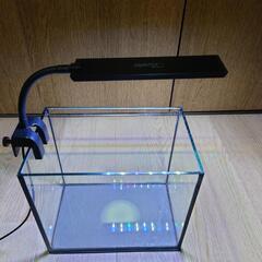 ＊専用【福岡/引取り限定】大型 曲げガラス水槽 imgrc0077239559.jpg