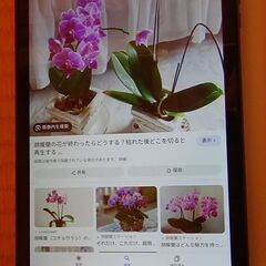 新品 ALLDOCUBE iPlay50 mini Lite 8インチ タブレット 8G/64GBの画像
