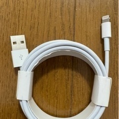 Apple iPhone lightning usbAケーブル ...