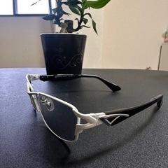 SAMURAI翔 サングラスの画像