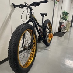 EIZER ファットバイク 20インチ 極太タイヤ 太いタイヤ シルバー