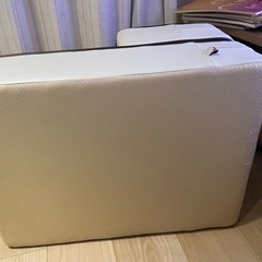 【美品】SAKURADOME  ペット用スロープ　　の画像