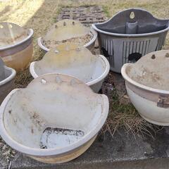 植木鉢(プラ)の画像