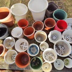 植木鉢(プラ)の画像