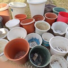 植木鉢(プラ)の画像