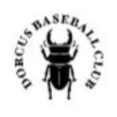 💫ドルクス野球倶楽部新入団選手募集💫